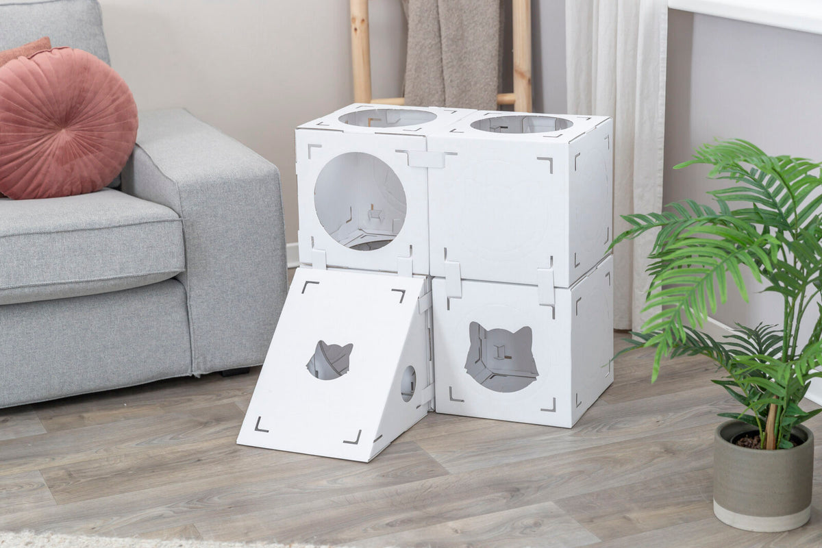 Weiße Kartonboxen mit runden und katzenförmigen Öffnungen sind neben einem grauen Sofa und einer grünen Pflanze platziert.