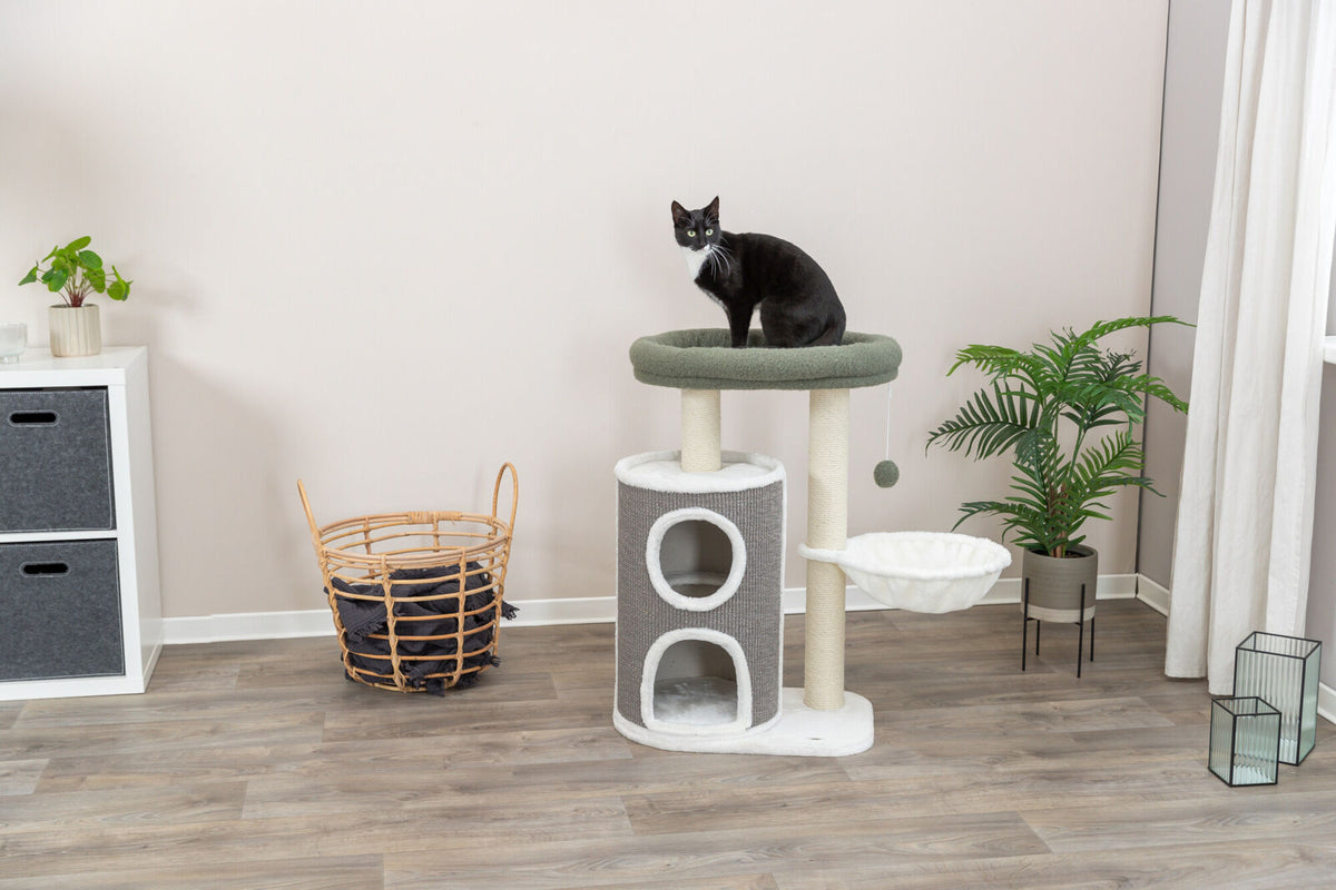 Ein schwarz-weißer Kater sitzt auf einem mehrstufigen Kratzbaum in einem Raum mit Holzboden, Pflanze und Korb.