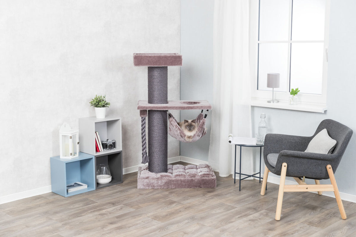 Ein Wohnzimmer mit Holzboden, einem Kratzbaum mit Katze, einem Sessel, einem Fenster, und Regalen mit Dekoration.