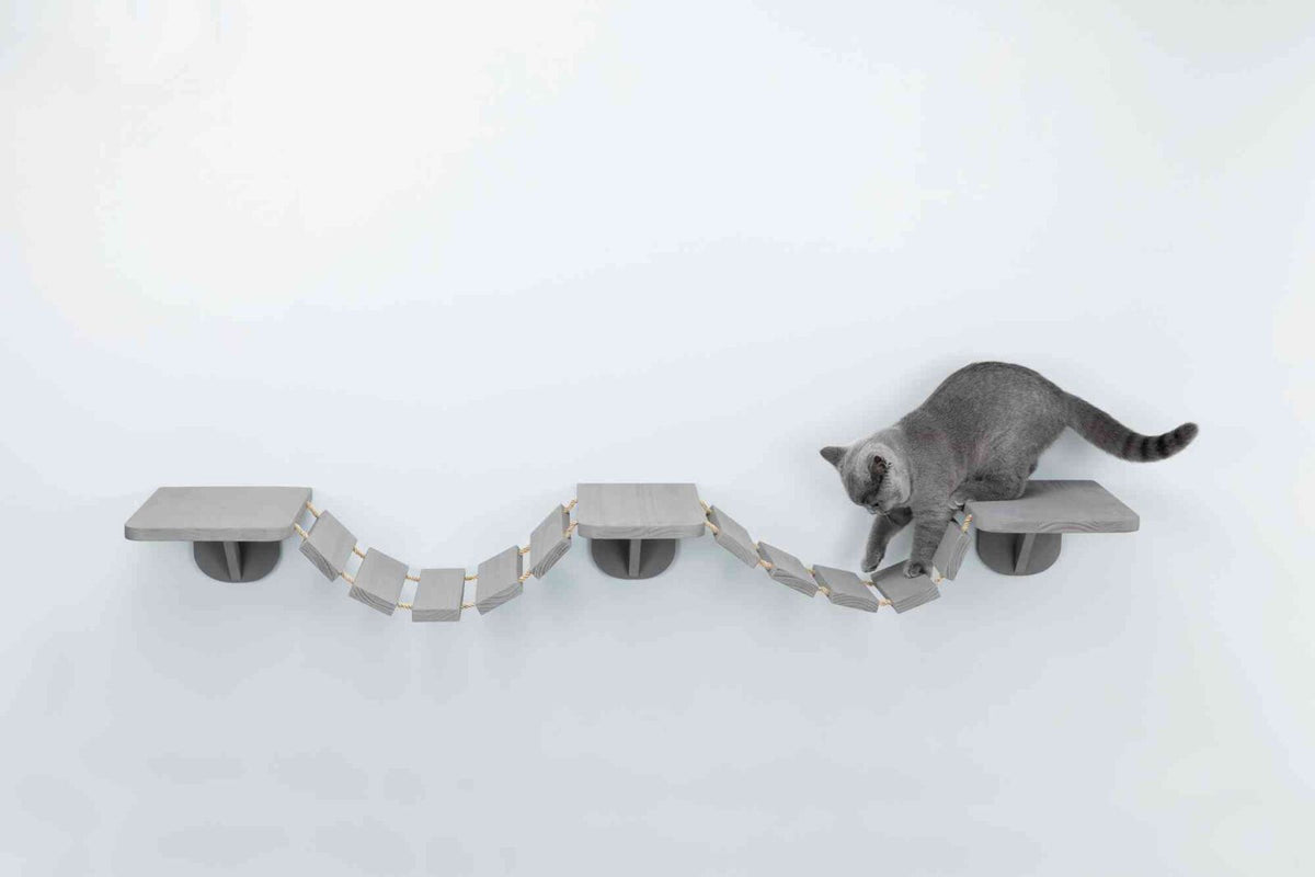 Graue Katze auf einer hängenden, grauen Plattform mit beweglicher Brücke zwischen den Plattformen in minimalistischem Raum.