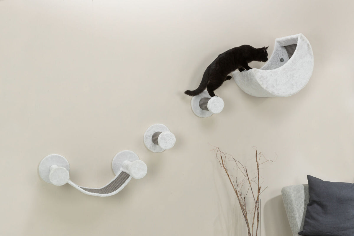 Eine schwarze Katze klettert auf einer an der Wand befestigten Kletterwand aus grauem Stoff mit mehreren Stufen und einer Höhle.