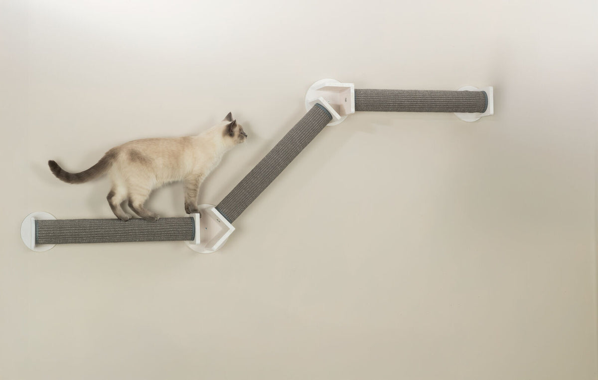 Eine Katze läuft auf einer an der Wand befestigten, diagonalen Kletterlandschaft mit grauen Sisal-Bezügen.