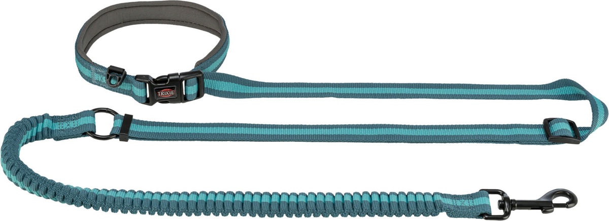 Zweifarbige, blau-graue Hundeleine mit elastischem Abschnitt, schwarzem Karabinerhaken und Klickverschluss.
