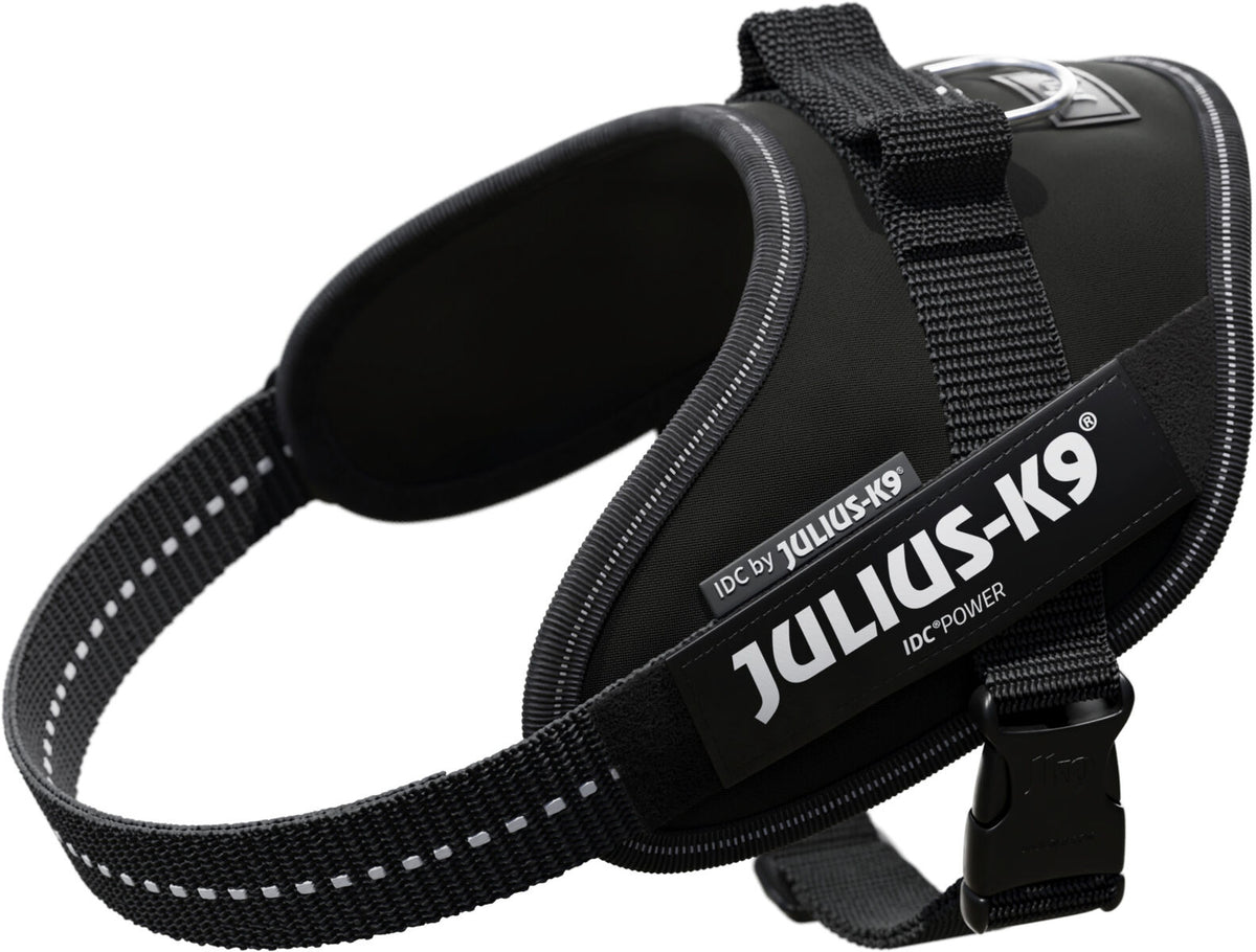 Schwarzes Hundegeschirr mit verstellbaren Gurten und sichtbarem "Julius-K9" Logo in weißer Schrift.