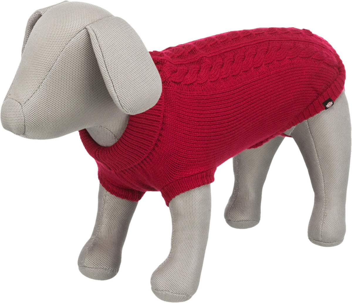 Graues Hundemodell trägt einen gestrickten, roten Pullover mit Zopfmuster.