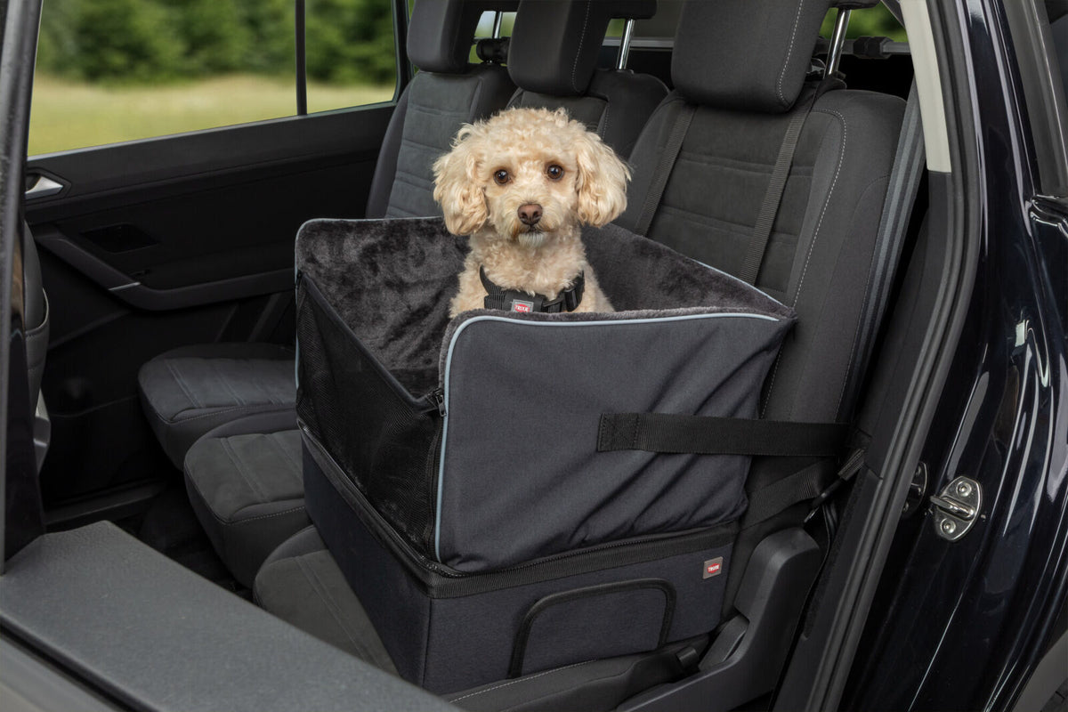 Erhöhter Autositz mit Staufach für kleine Hunde