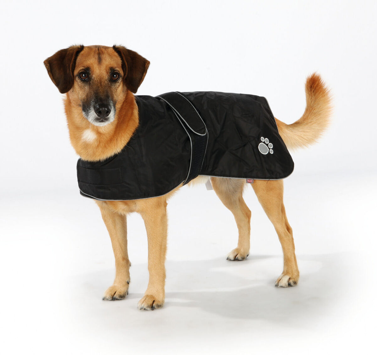 Hund mit schwarzem Mantel, der eine Pfote als Logo trägt, steht auf weißem Hintergrund.