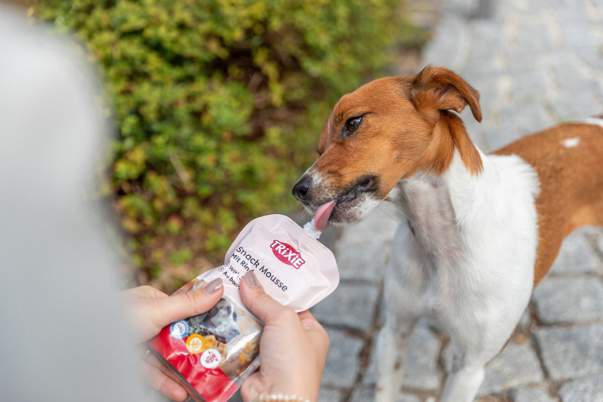 Set Schleckmatte mit Snackmousse in verschiedenen Geschmacksrichtungen