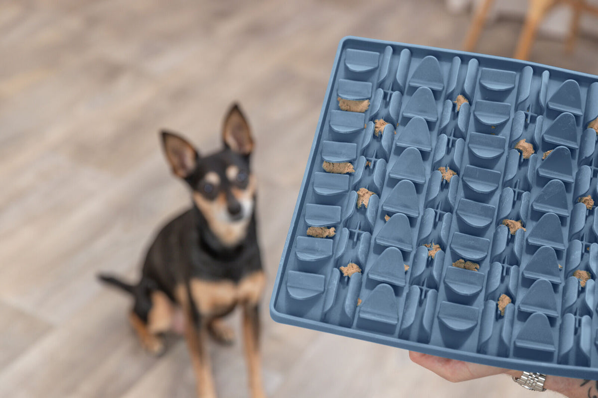 Set Schleckmatte mit Snackmousse in verschiedenen Geschmacksrichtungen