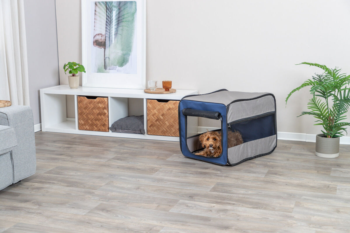 Ein kleiner Hund liegt in einer grauen, faltbaren Transportbox in einem hellen Raum mit Holzboden und Pflanzen.