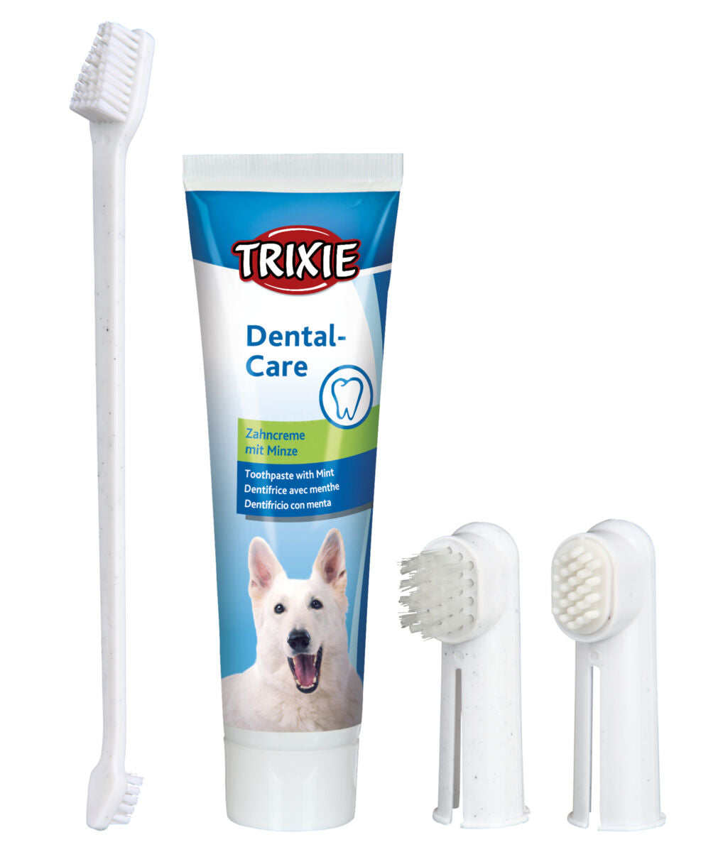 Zahnpflege-Set für Hunde mit Zahnpasta, Zahn- und Fingerbürsten; Verpackung blau-weiß mit Hundeabbildung.