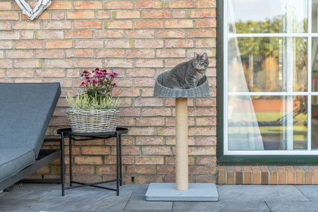 Eine Katze sitzt im Liegebett eines Kratzbaumes  draußen neben einer Terrassentür. Auf der anderen Seite stehen eine Sonnenliege und Blumen.
