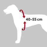 Silhouette eines Hundes mit rotem Pfeil um die Brust, Text "40–55 cm" als Maßangabe.