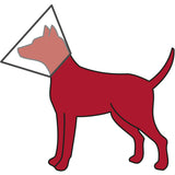 Roter Hund mit Halskragen in dreieckiger Form.