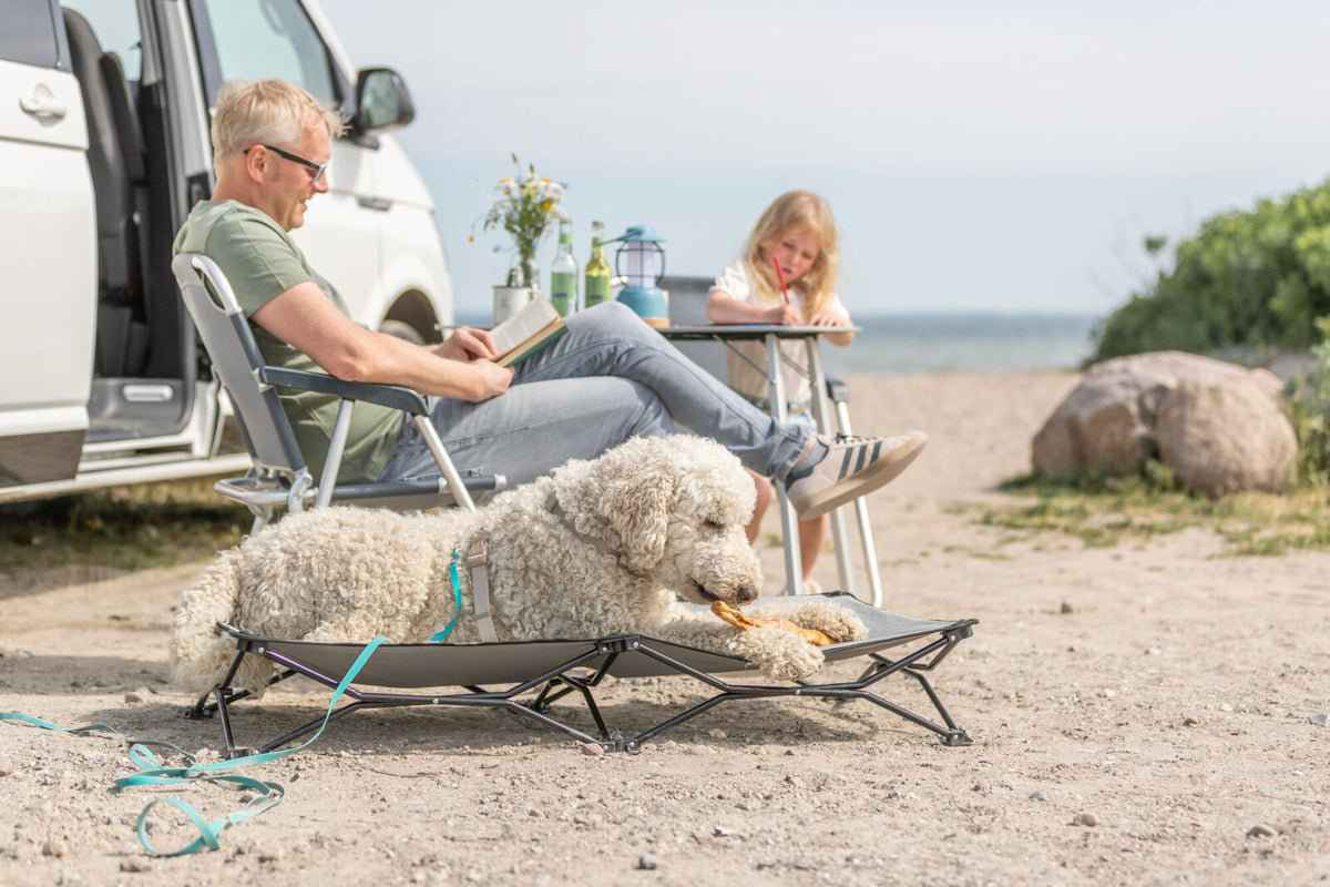 Mann sitzt lesend auf Klappstuhl neben Hund auf Liege am Strand.