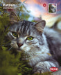 Graue Katze mit grünen Augen liegt im Gras, Trixie-Logo und Text "Katzen 2027 Kalender" sichtbar.