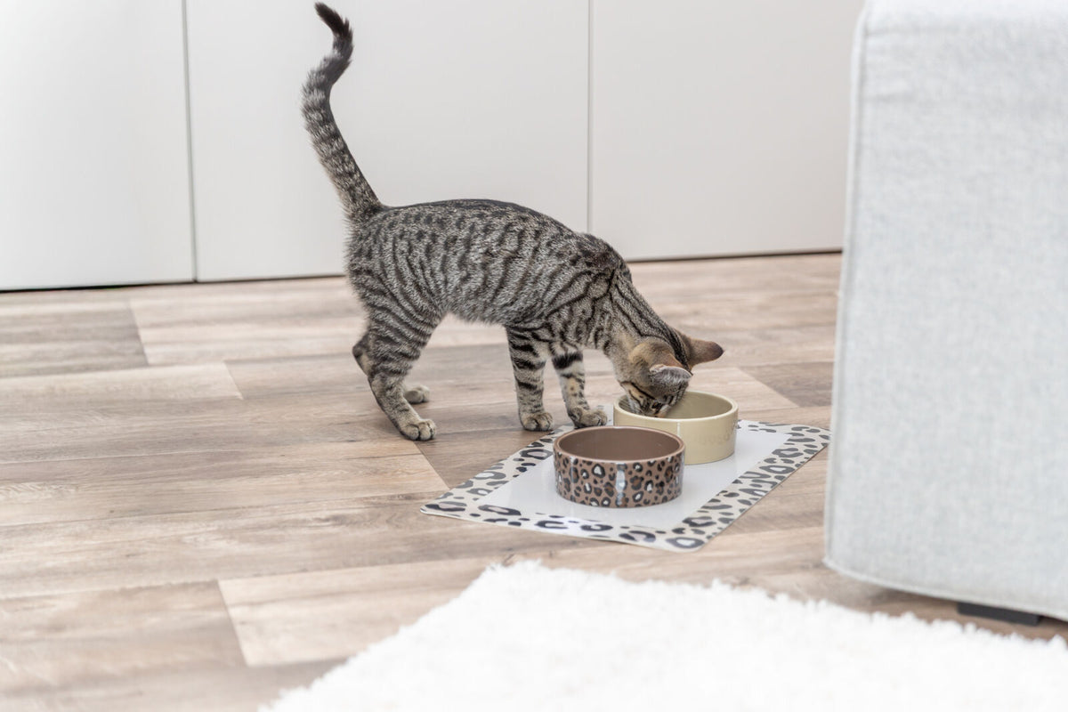 Eine getigerte Katze trinkt aus einem Napf auf einem gefleckten Platzset im Wohnzimmer.