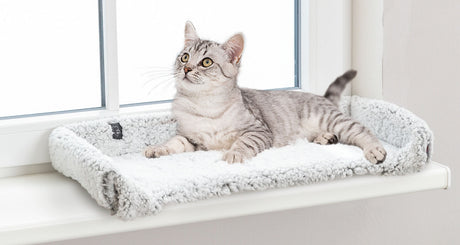 Graue Katze liegt auf weißem, flauschigem Kissen auf einer Fensterbank und blickt nach oben.