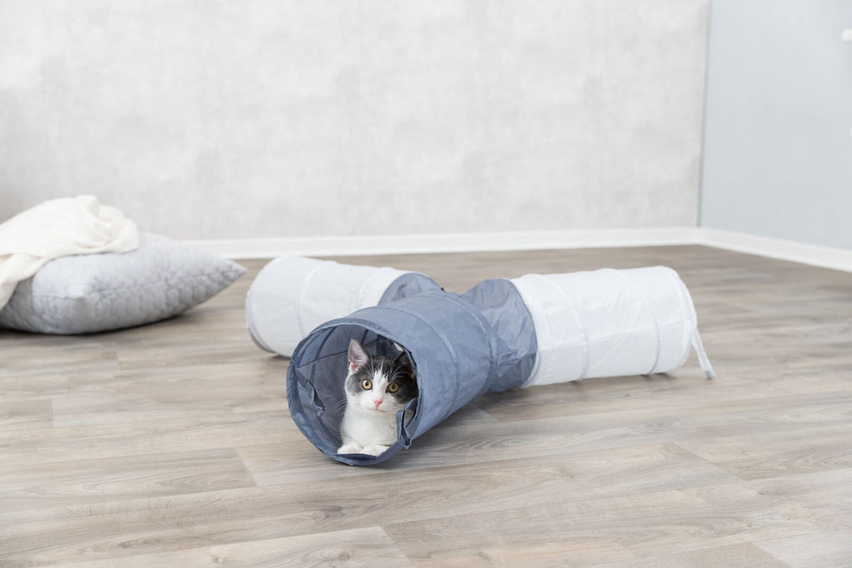 Grauer und weißer Spieltunnel auf Holzboden, in dem eine schwarz-weiße Katze sitzt; im Hintergrund Kissen.