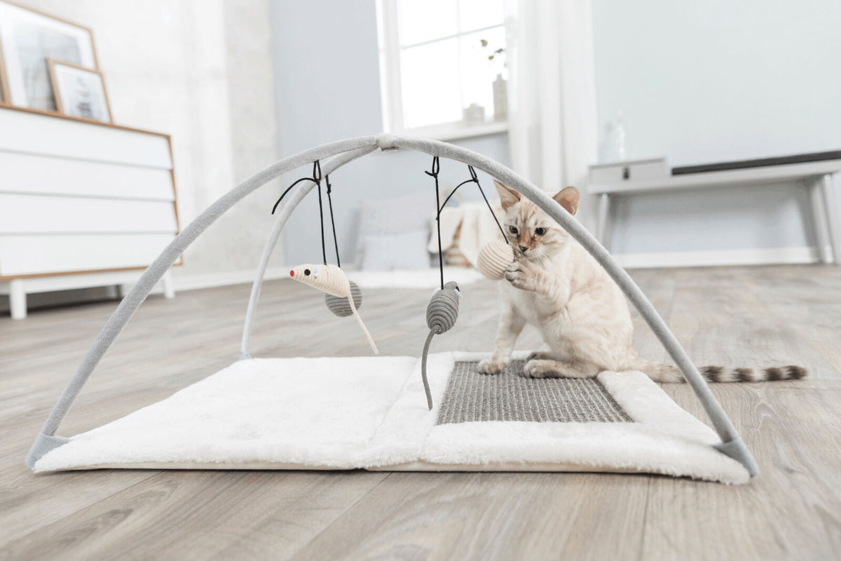 Kleine Katze spielt auf einer grauen Spielmatte mit hängendem Spielzeug, die auf einem Holzboden liegt.