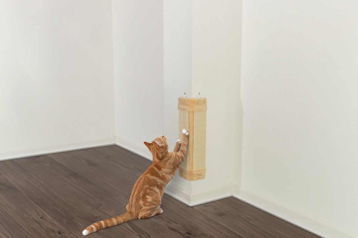 Eine getigerte Katze kratzt an einem beigen Kratzbrett, das an einer weißen Wand in einer Zimmerecke montiert ist.