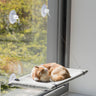 Eine beige liegende Katze schläft auf einer grauen Hängematte, die mit Saugnäpfen an Glas befestigt ist.