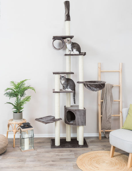 Hoher Kratzbaum mit mehreren Plattformen und Höhlen, darauf zwei Katzen, umgeben von Zimmerpflanzen und Wohnzubehör.