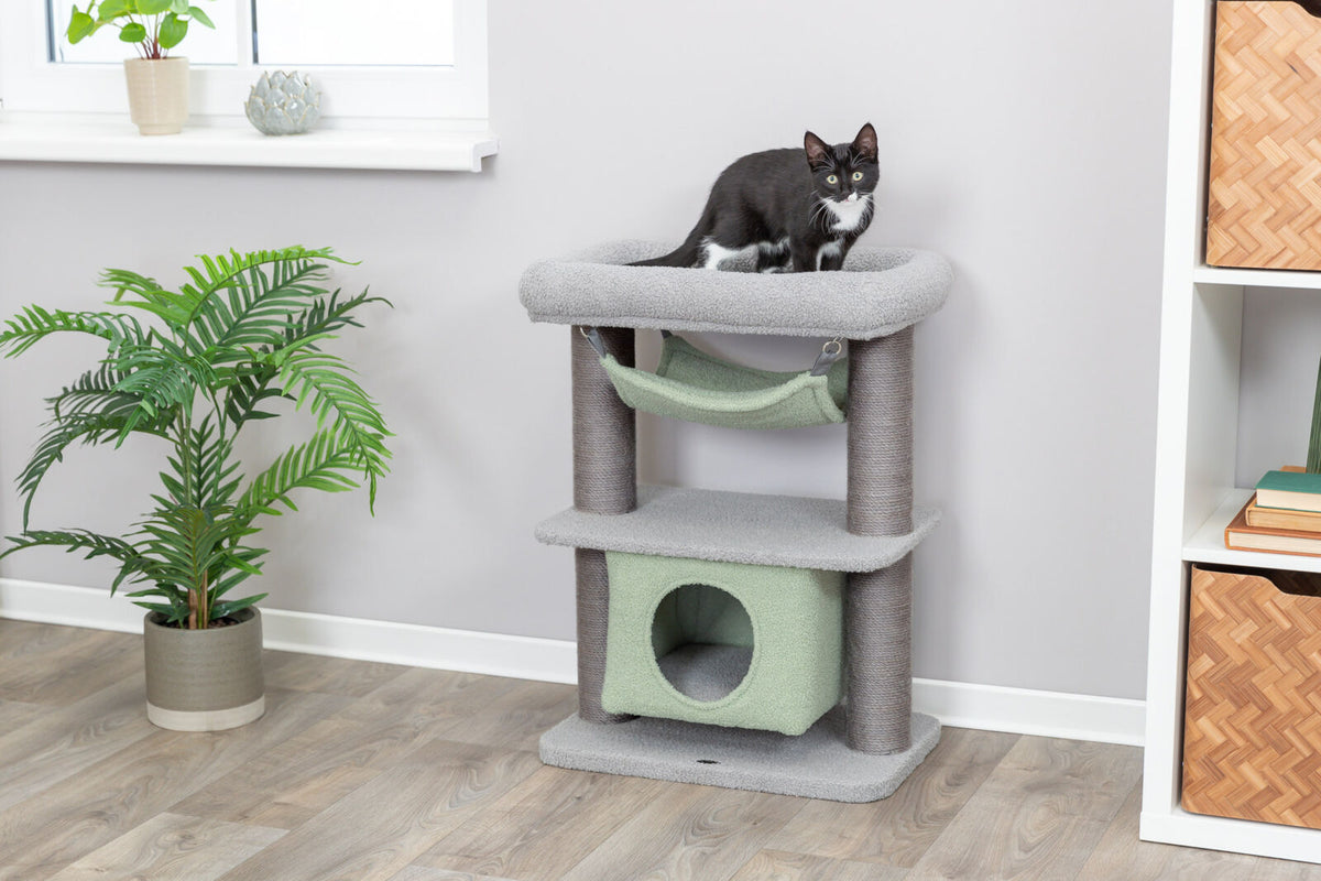Ein schwarz-weißer Kater sitzt auf einem grauen Kratzbaum mit Höhle und Hängematte, daneben Pflanzen.