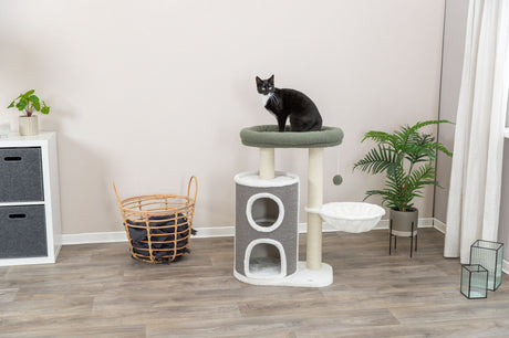 Ein schwarz-weißer Kater sitzt auf einem mehrstufigen Kratzbaum in einem Raum mit Holzboden, Pflanze und Korb.