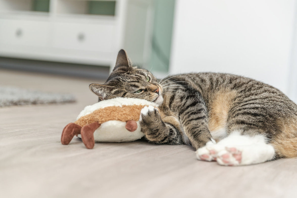 Eine getigerte Katze liegt auf einem Holzboden und kuschelt mit einem Spielzeug.