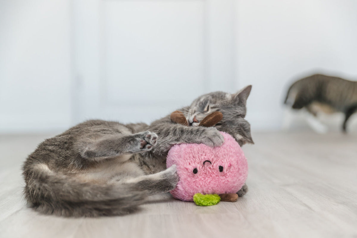 Eine graue Katze spielt mit einem rosa Plüschspielzeug auf einem hellen Boden.