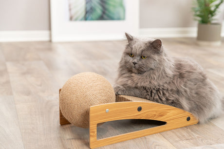 Graue Katze neben einem hölzernen Kratzbrett mit einer großen, kugelförmigen Sisalrolle in einem hellen Zimmer auf Holzboden.