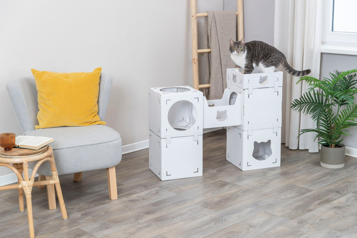 Ein Raum mit einem grauen Sessel mit gelbem Kissen, einem Beistelltisch, einem Katzenmöbel aus weißen Würfeln und einer sitzenden Katze.