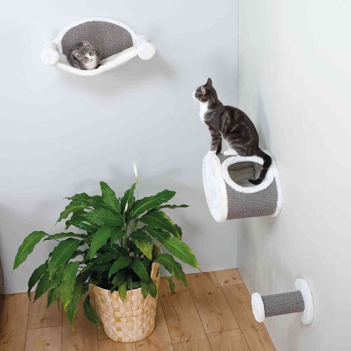Zwei Katzen auf wandmontierten Katzensitzen, eine liegt in einem Schalenbett, die andere sitzt auf einem zylindrischen Sitz, daneben eine Pflanze in einem Korb.