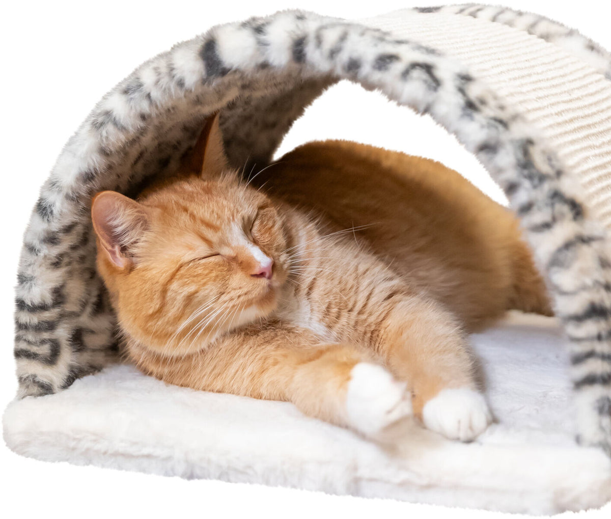 Eine orangefarbene Katze schläft gemütlich unter einem gewölbten Tunnel mit Leopardenmuster und weicher Unterlage.