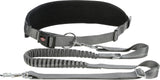 Graues, verstellbares Hundegeschirr mit gepolstertem Bauchgurt und flexibler Leine, Metallkarabiner und D-Ring.
