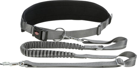 Graues, verstellbares Hundegeschirr mit gepolstertem Bauchgurt und flexibler Leine, Metallkarabiner und D-Ring.