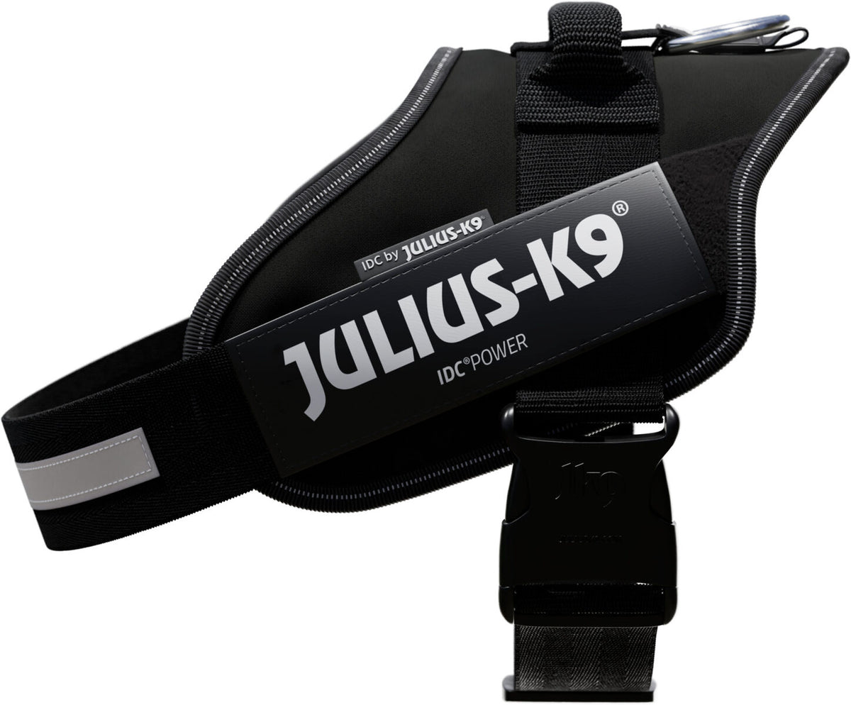 Hundegeschirr in Schwarz mit grauem Logo "Julius-K9 IDC" auf der Seite, reflektierender Streifen sichtbar.