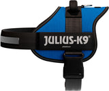 Blaues Hundegeschirr mit schwarzem Rand und Schriftzug "Julius-K9", Klettverschluss und Schnalle sichtbar.
