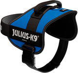 Blaues Hundegeschirr mit schwarzem Griff und Schnalle, mit "JULIUS-K9" Aufschrift auf der Seite.