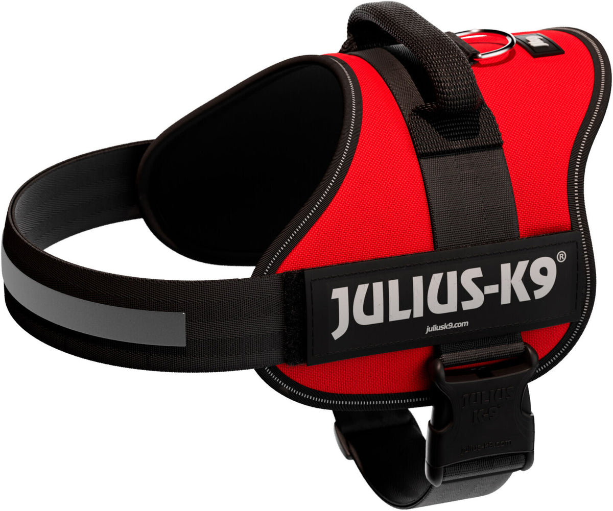 Rotes Hundegeschirr mit reflektierendem Streifen und schwarzem Griff, auf dem "Julius-K9" steht.