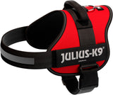 Rotes Hundegeschirr mit reflektierendem Streifen und schwarzem Griff, auf dem "Julius-K9" steht.