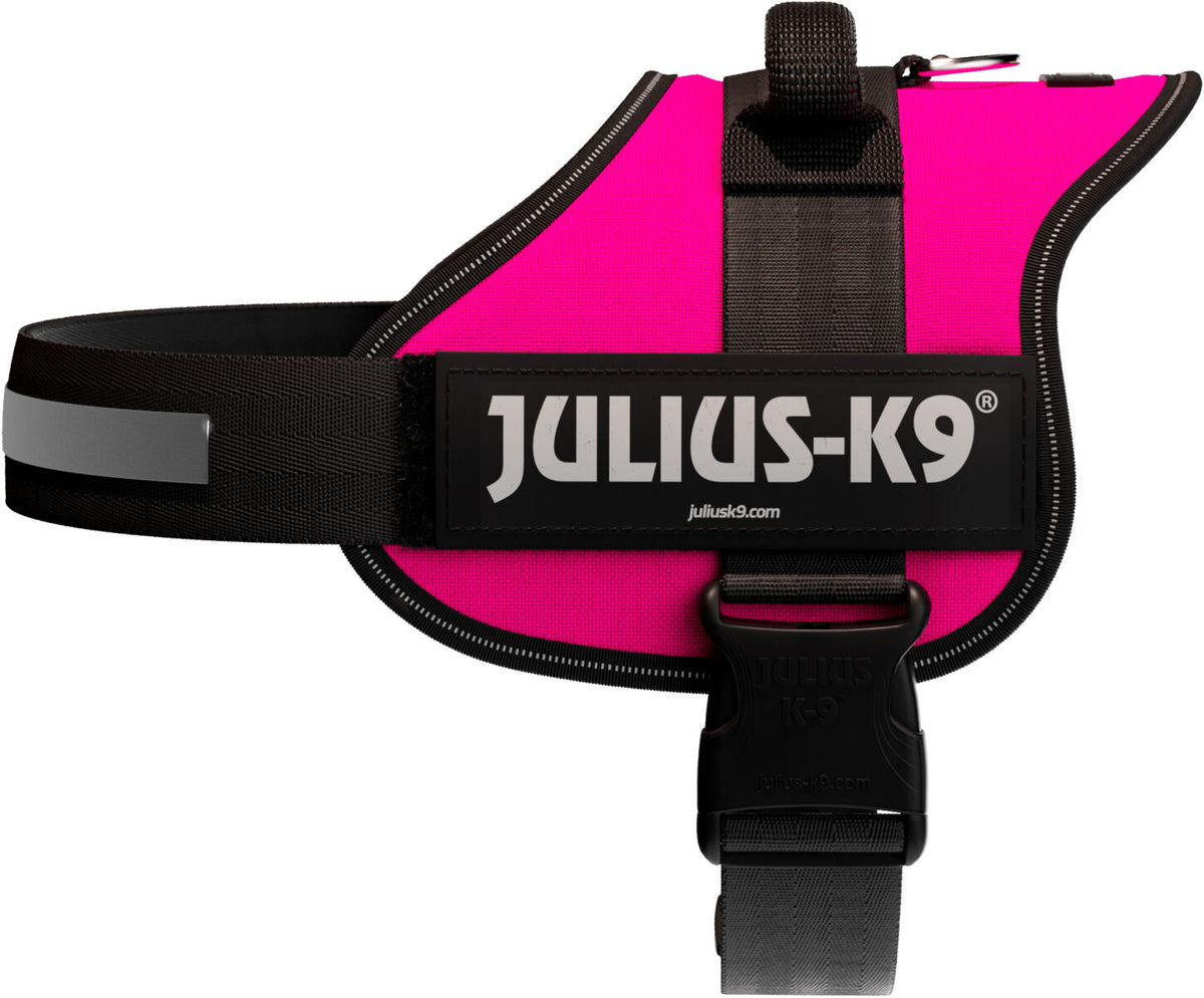 Pinkes Hundegeschirr mit schwarzem Rand und dem Schriftzug "Julius-K9" auf einer Seite.