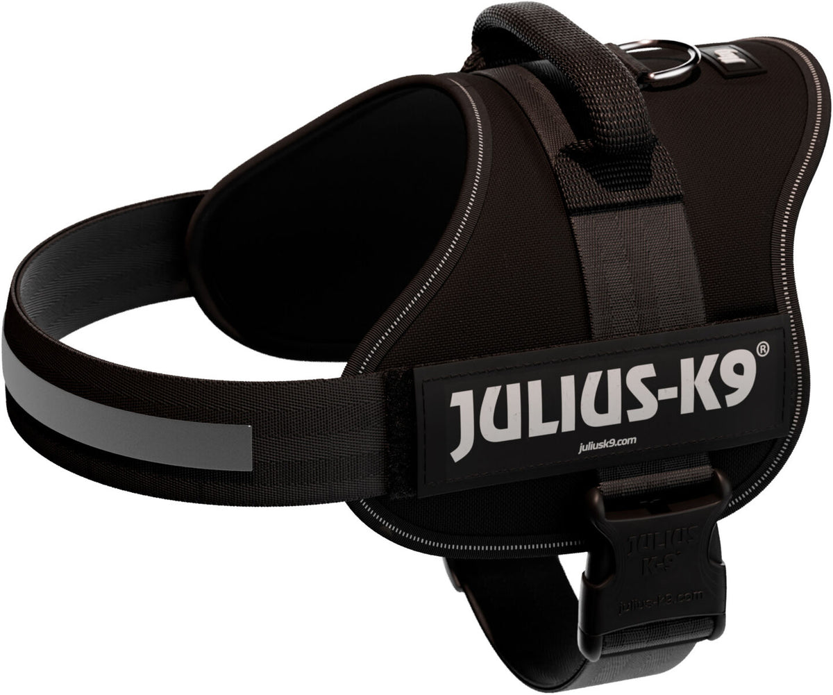 Schwarzes Hundegeschirr mit reflektierendem Streifen und sichtbarem „Julius-K9“-Logo auf der Seite.