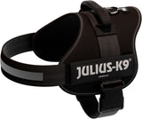 Schwarzes Hundegeschirr mit reflektierendem Streifen und sichtbarem „Julius-K9“-Logo auf der Seite.
