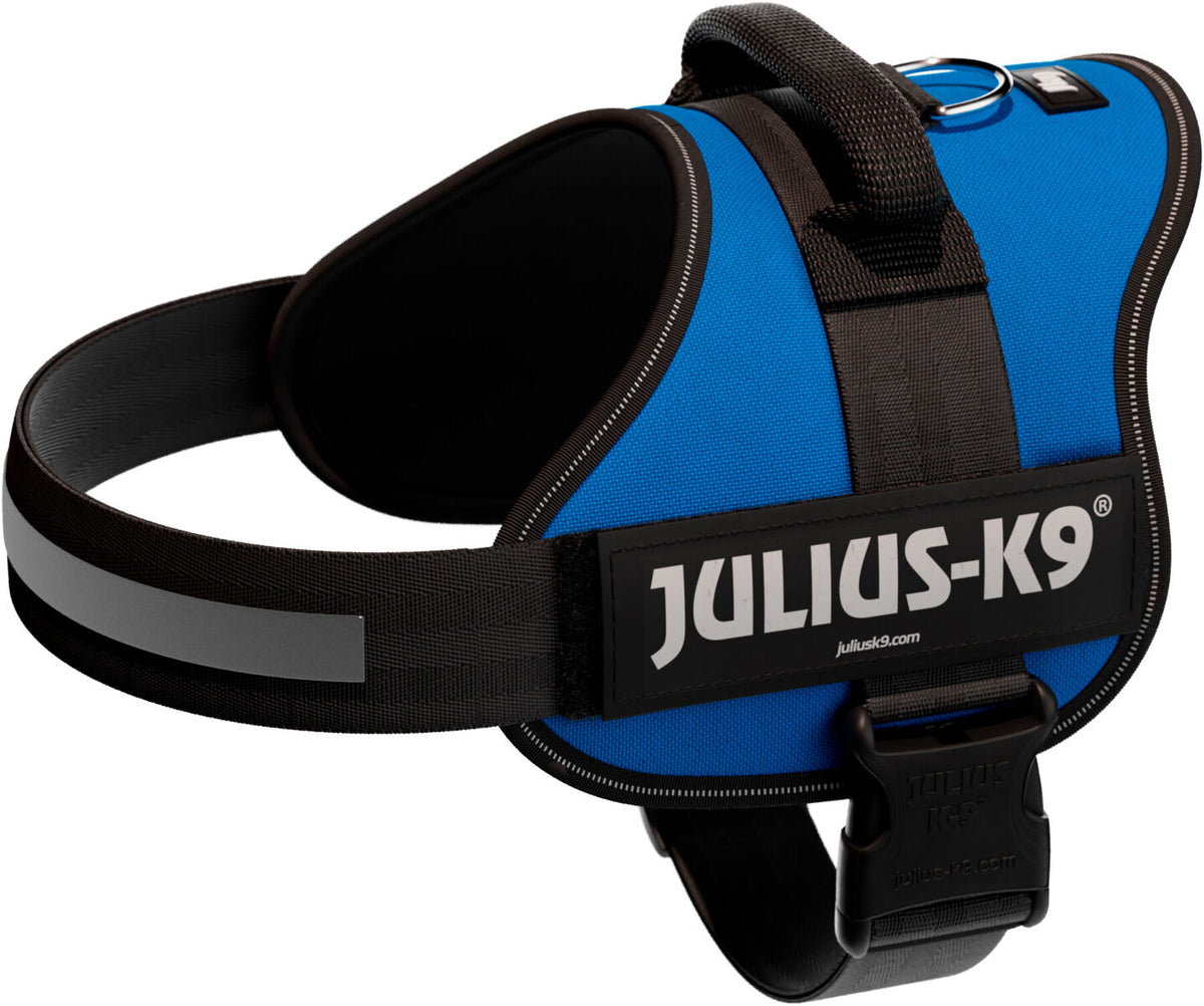 Blaues Hundegeschirr mit schwarzem Rand und Aufschrift "Julius-K9", verstellbare Gurte und Griff an der Oberseite.