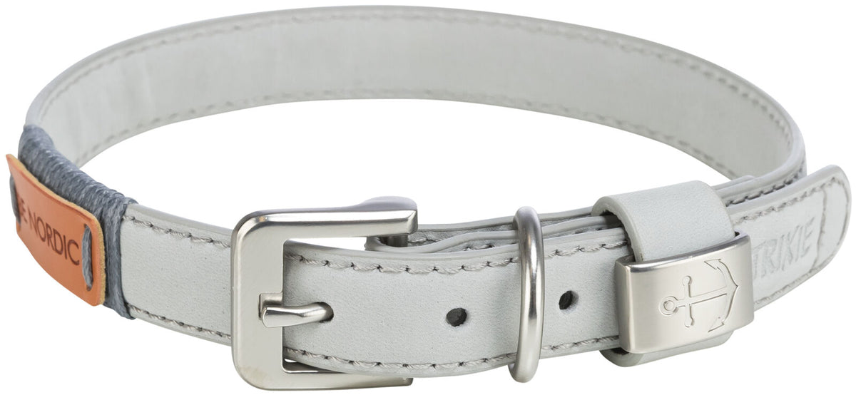 Hellgraues Hundehalsband aus Leder mit silberner Schnalle und einem gravierten Ankersymbol auf dem Verschluss.