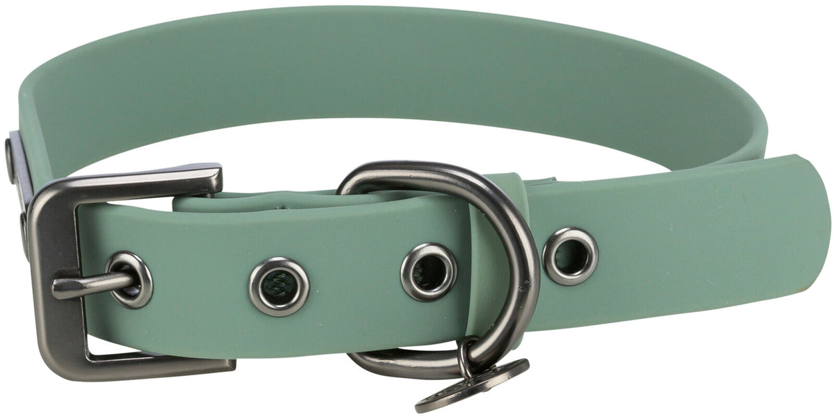 Grünes Hunde-Halsband aus Kunststoff mit Metallschnalle und mehreren Löchern zur Größenanpassung.