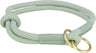 Hellgrünes, geflochtenes Hundehalsband mit goldfarbenen Metallringen in einem schlichten Design.