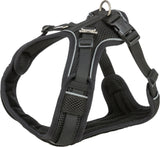Schwarzes Hundegeschirr mit Mesh-Material und reflektierenden Streifen, verstellbaren Gurten und Klickverschluss.